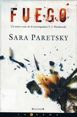 Sara Paretsky Fuego обложка книги