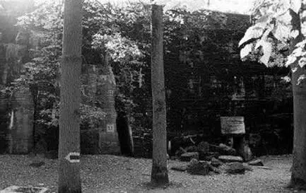 Esta mastodóntica construcción es el búnker de Hitler a donde se retiró el - фото 51