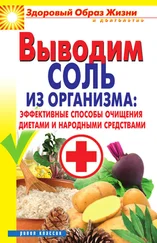 Ирина Ульянова - Выводим соль из организма - эффективные способы очищения диетами и народными средствами