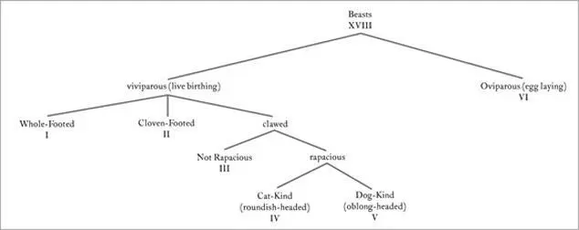 Figure 52 Subcategories of beasts Figure 53 Subcategories of - фото 23