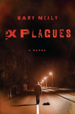 Mary Nealy Ten Plagues обложка книги