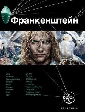 Андрей Плеханов Франкенштейн. Мёртвая армия обложка книги