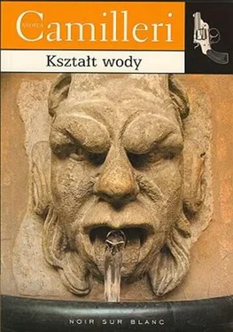 Andrea Camilleri Kształt Wody обложка книги