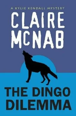 Claire McNab The Dingo Dilemma обложка книги