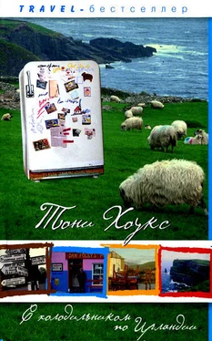 Тони Хоукс С холодильником по Ирландии: «Гиннеса» много не бывает обложка книги