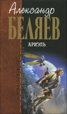 Александр Беляев Ариэль обложка книги