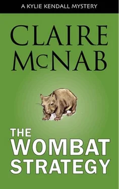 Claire McNab Wombat Strategy обложка книги