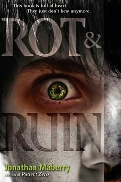 Jonathan Maberry Rot & Ruin обложка книги