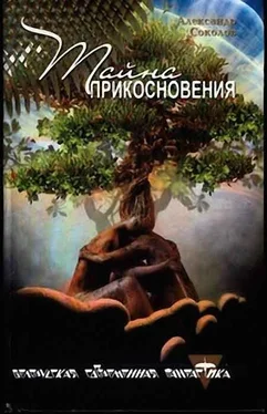 Александр Соколов Тайна прикосновения обложка книги