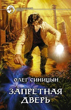 Олег Синицын Запретная дверь обложка книги