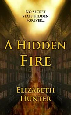 Elizabeth Hunter A Hidden Fire обложка книги