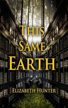 Elizabeth Hunter This Same Earth обложка книги