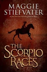 Maggie Stiefvater - The Scorpio Races