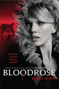 Andrea Cremer Bloodrose обложка книги