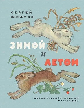 Сергей Юнатов Зимой и летом обложка книги
