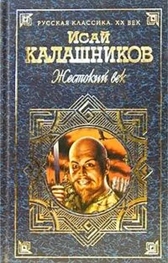 Исай Калашников Гонимые обложка книги