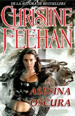 Christine Feehan Asesina Oscura обложка книги