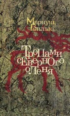 Мариуш Вильк Тропами северного оленя обложка книги