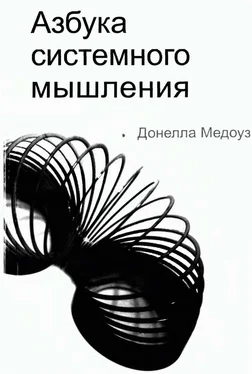 Донелла Медоуз Азбука системного мышления обложка книги