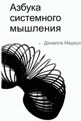 Донелла Медоуз - Азбука системного мышления