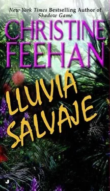 Christine Feehan Lluvia Salvaje обложка книги