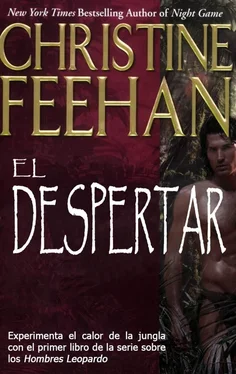 Christine Feehan El Despertar обложка книги