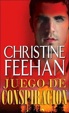 Christine Feehan Juego De Conspiracion обложка книги