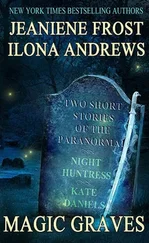 Ilona Andrews - Magic Grave