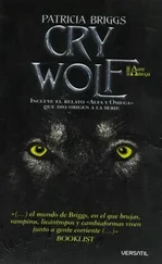 Patricia Briggs - Cry Wolf