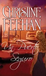 Christine Feehan - Un Puerto Seguro