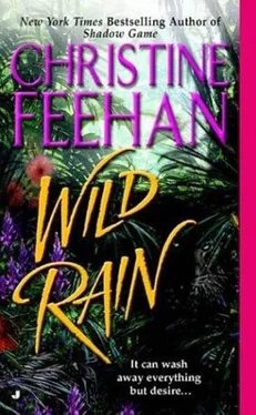 Christine Feehan Wild Rain обложка книги