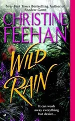 Christine Feehan - Wild Rain