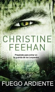 Christine Feehan Fuego Ardiente обложка книги