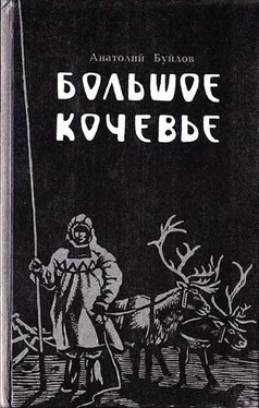 Анатолий Буйлов Большое кочевье обложка книги