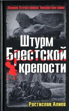 Ростислав Алиев Штурм Брестской крепости