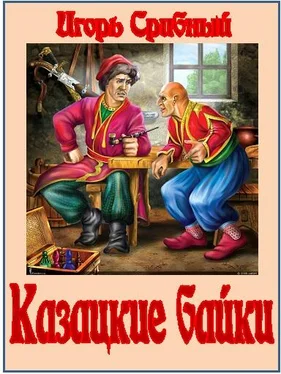 Игорь Срибный Казацкие байки обложка книги