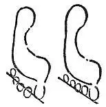 To distinguish between barefoot tracks draw a line from tip of big toe to tip - фото 103