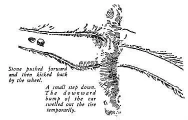Having learned to distinguish the pace and age of spoor you must next learn to - фото 106