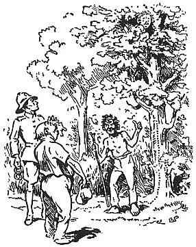 HINTS TO INSTRUCTORS Instruction in the art of observation and deduction is - фото 109