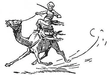 The footmarks of different camels look very much alike But Egyptian trackers - фото 112
