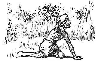 In India they hunt jackals in a peculiar way A man i mitates the calls of a - фото 121