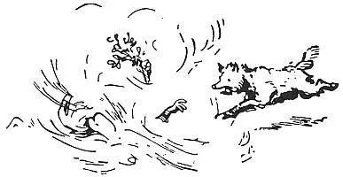 then he flings himself on the ground and throws dust up in the air The - фото 122