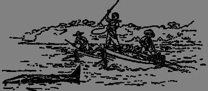 Whale Hunt The harpooner who first arrives within range of the whale drives - фото 43