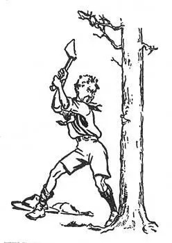 Poor Tommys for gotten to sharpen his axe So the tree only suffers a series - фото 59