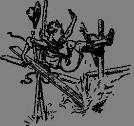 TOMMY THE TENDERFOOT No 3 TOMMY BUILDS A BRIDGE Your knots give the - фото 63