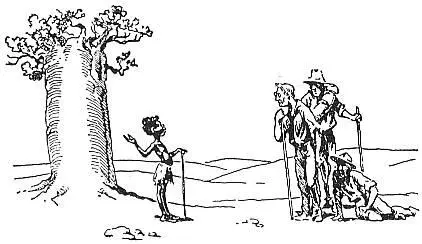 A small native girl came to the aid of the scientific professors who ran out of - фото 129