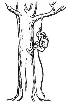 Tree climbing is great exercise Fasten a thick rope over a strong branch and - фото 140