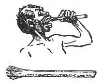 A bushman makes a si mple tooth br ush by fraying the end of a dry stick about - фото 143
