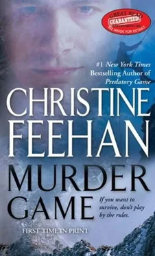 Christine Feehan Murder Game обложка книги