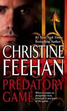 Christine Feehan Predatory Game обложка книги